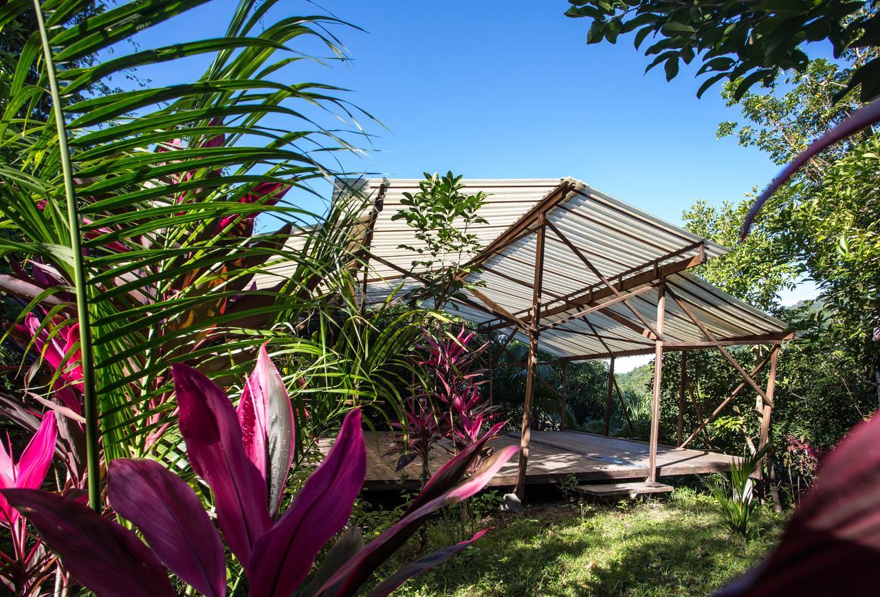 Omega Tours Eco-Jungle Lodge La Ceiba Exterior foto