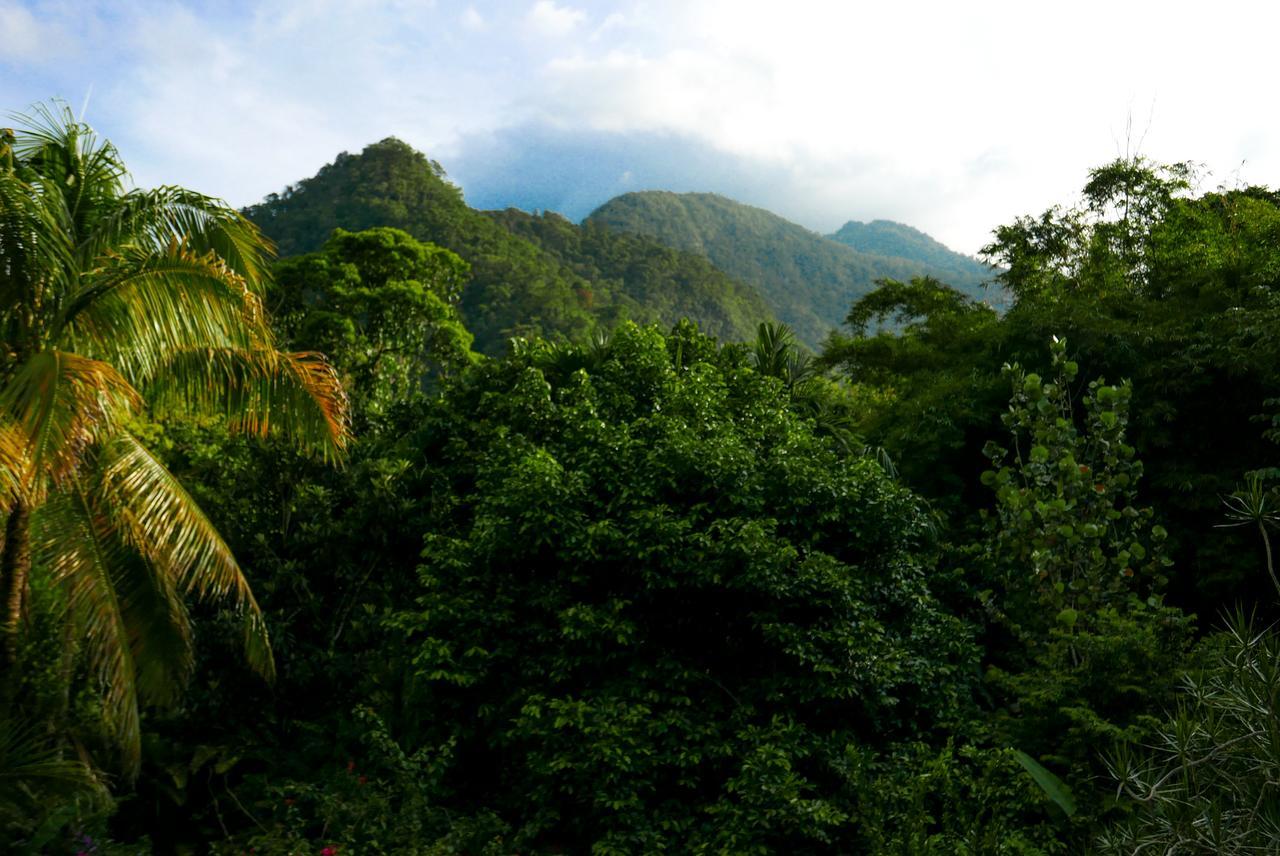 Omega Tours Eco-Jungle Lodge La Ceiba Exterior foto