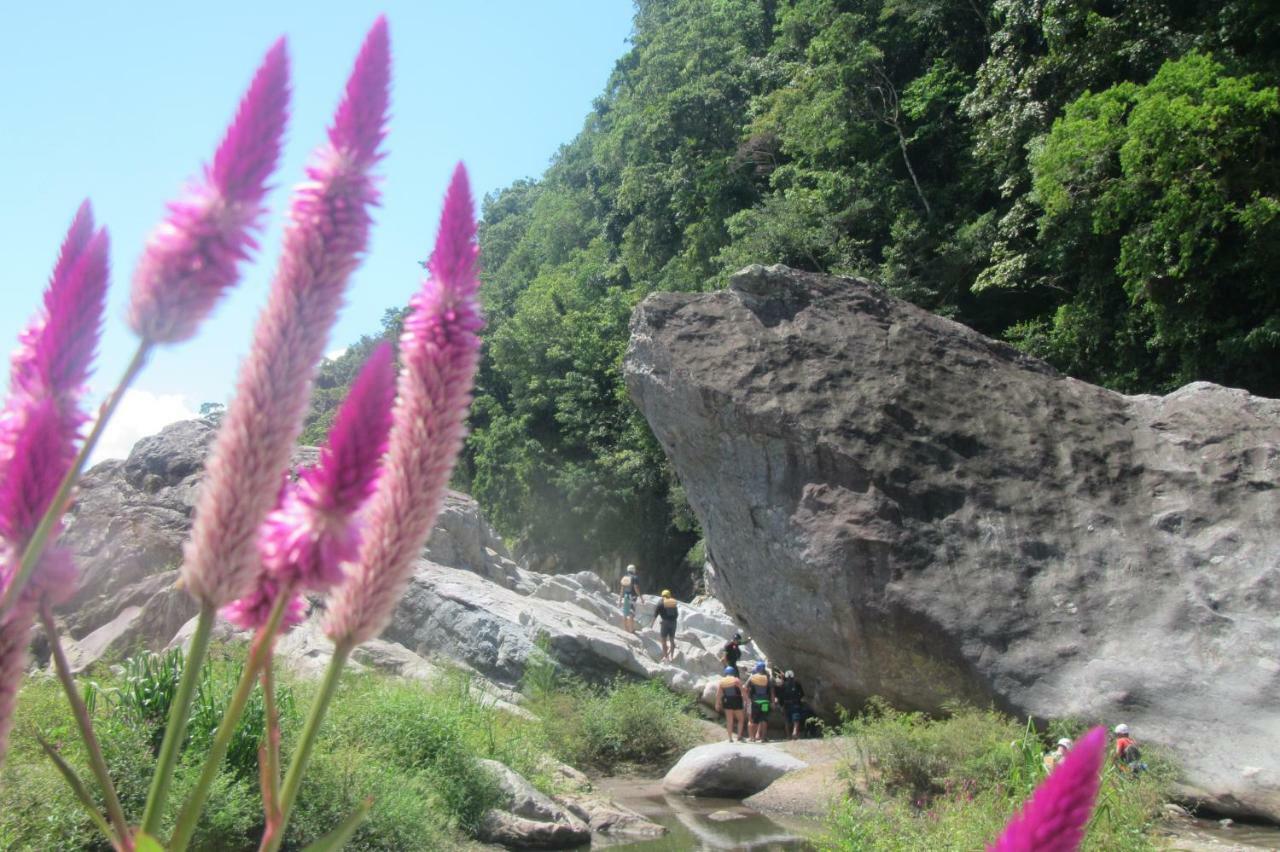 Omega Tours Eco-Jungle Lodge La Ceiba Exterior foto